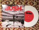 Bush Everything Zen 7