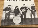 THE BEATLES 7” Vinyl Take Good Care Of My Baby 1-sided Demo Pic Sleeve