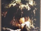 Wolves in the Throne Room - Celestial Lineage - 2 LP - 180-gram - Black Vinyl