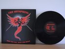 The Offspring Rise and Fall, Rage And Grace LP vinyl green day blink 182 sum 41