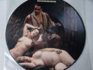 Rammstein -Vinyl - LIEBE IST FÜR ALLE DA - Picture LP
