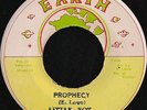 LITTLE ROY - PROPHESY - EARTH  - ORIG JA PRESS REGGAE 45 7