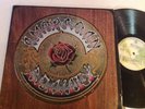 The Grateful Dead 