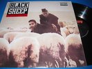 BLACK SHEEP.A WOLF IN SHEEP'S CLOTHING.12'' US VINYL LP 1991