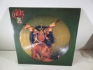 Cher Take Me Home Limited Edition Picture Disc 1979 Casablanca NBPIX 7133