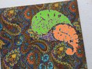 Prince - Paisley Park 45rpm Single Picture Sleeve, RARE Unreleased U.S. #29052-7