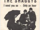 Shaggys - Only An Hour / I Need You So - R & B Pallas / Dr. Rolf Binder - 1964