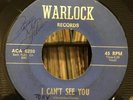 THE OTHER SIDE 45 I CAN’T SEE YOU  PSYCH GARAGE FUZZ Texas WARLOCK