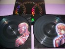Tool Lateralus Double Vinyl Picture Disc Near Mint