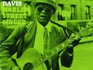 Harlem Street Singer [12 inch Analog] Gary Davis LP Record