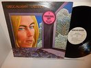 GREGG ALLMAN LAID BACK White Label Promo & sticker Capricorn CP 0116 G/F NM LP