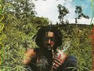 PETER TOSH 