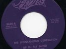 SPONTANEOUS GENERATION 