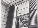 BEACH FOSSILS-WHAT A PLEASURE  (US IMPORT)  VINYL LP NEW