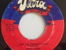 FLICK WILSON - KEEP THE TROUBLES DOWN - ULTRA ( DEEP ROOTS 7 )