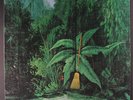 GABOR SZABO: Magical Connection LP Jazz