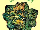 PRE-ORDER Ultimate Spinach (Vinyl RELEASE: 12 Jan 2018)