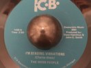 THE WEBB PEOPLE  I'm Sending Vibrations / Bump With Me   TCB funk soul 45