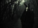 White Ward - Futility Report LP