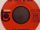 ROSEBUDS--SAY YOU'LL BE MINE / MAMA SAID--TOWER-105--RARE NORTHERN