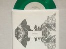 BEACH FOSSILS Shallow GREEN 7