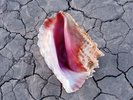 THE KILLERS - WONDERFUL WONDERFUL * NEW VINYL