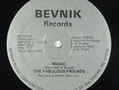 Fabulous Friends - Magic 12
