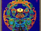 Grateful Dead 