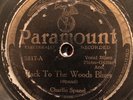 Paramount 12817 Charlie Spand ( w Blind Blake) BACK TO WOODS 78rpm 1929 Blues