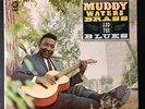 Muddy Waters 