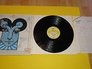 The Chameleons ?– What Does Anything Mean? Basically 1985 LP GER FOC Promo Sheet