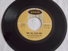 JOHNNY & THE EXPRESSIONS NOW THAT YOU'RE MINE bw SHY GIRL 1966 JOSIE 45RPM NICE
