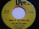 1968 Rock 45 LADY AND THE TRAMPS House Of The Rising Sun/ Loved On Look RARE M-