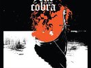 Year of the Cobra - Burn Your Dead