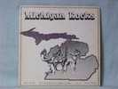 MICHIGAN ROCKS - SEEDS & STEMS VARIOUS ARTIST (SS77001) VG/VG+ condition   RARE