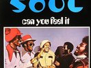 SOUL (SOUNDS OF UNITY & LOVE) - Can You Feel It - Vinyl (LP)