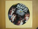THE BEATLES Silver Beatles Picture Disc 12