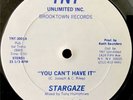 STARGAZE - You Can’t Have It - 12” rare DISCO FUNK/BOOGIE listen