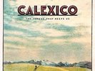 The Thread That Keeps Us (Vinyl) - CALEXICO [LP]