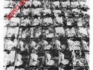 Single - Stiff Little Fingers ?- Suspect Device - SRD 1 - UK 1978 - UNPLAYED