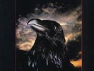 The Raven Stranglers vinyl LP album record UK UAG30262 UNITED ARTISTS 1979