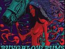 BUNGALOW BUMS - Lawless Days In Reservation - LP (colour) Nasoni