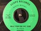Scarce and Killer Detroit Northern Soul - The Soulettes on Scope - Nice