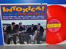 The Revels INTOXICA  USA re '94 VG++/M-    Vinyl LP translucent red