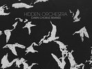 HIDDEN ORCHESTRA - DAWN CHORUS REMIXES (2LP+MP3)  2 VINYL LP + MP3 NEU