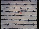DIES IRAE - First - LP 1971 (colour) Ohrwaschl
