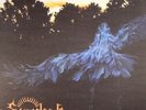 SUMERLANDS - Sumerlands - Vinyl (LP + insert + MP3 download code)