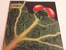 LP   catapilla changes