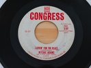 RITCHIE ADAMS Lookin' For The Blues/I Understand 45 R&B Popcorn HEAR