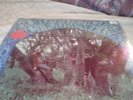 Creedence Clearwater Revival Fantasy Stero 8382 LP Record Suzie Q CCR New Sealed